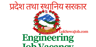 Province and Local Government Engineering Job Vacancy Nepal