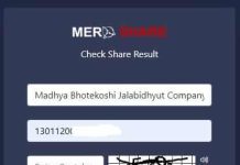 How To Check IPO Result in Nepal from IPORESULT Website