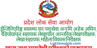 Province LokSewa Aayog Syllabus for All Posts And Levels