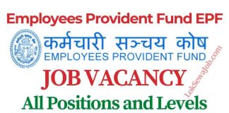 Employees Provident Fund EPF Job Vacancy