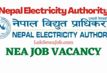 Nepal Electricity Authority NEA Job Vacancy