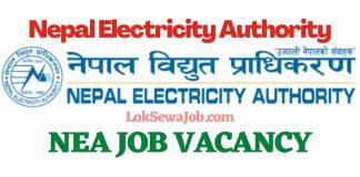 Nepal Electricity Authority NEA Job Vacancy