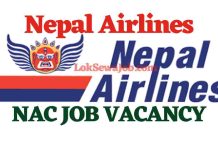 Nepal Airlines Job Vacancy