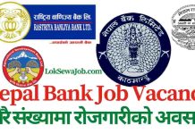 Nepal Bank Limited NBL Job Vacancy 2081 for Various Positions and Levels Nepal Bank Limited NBL Job Vacancy