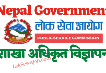 LokSewa Job Vacancy for Section Officer Level Non-Technical Posts 2081 | LokSewa Adhikrit LokSewa Job Vacancy for Section Officer Level